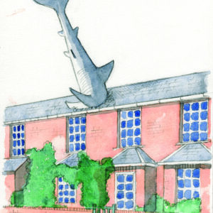 The Shark, Oxford